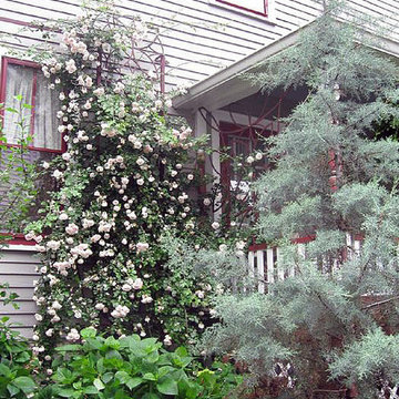 Award Winning Gardens
