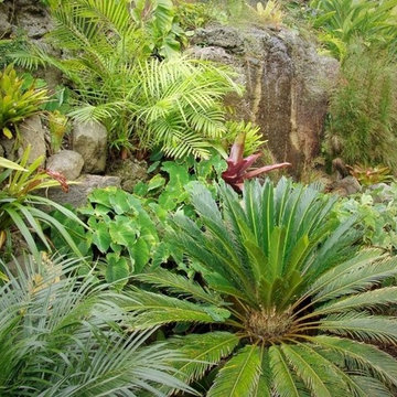 Balinese And Subtropical Gardens