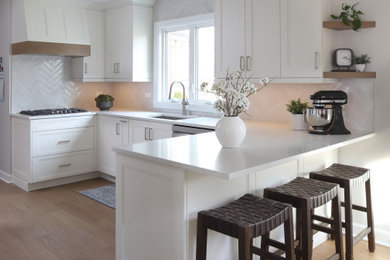 Kitchen - transitional kitchen idea in Chicago