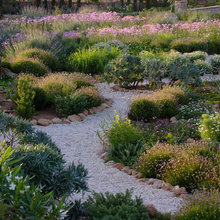 pathways