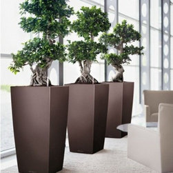 Cubico Premium 50 - Products