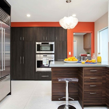 Mid-Century Modern Rendition