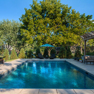 Lake Zurich, IL Swimming Pool, Pergola and Fireplace