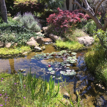 Water Gardens