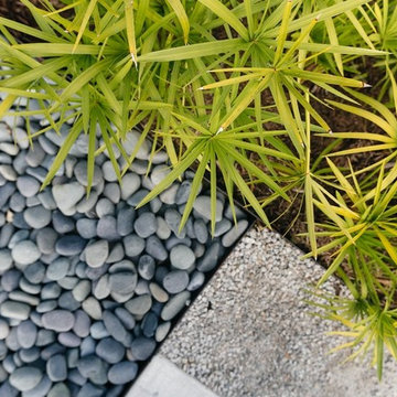 Backyard Renovation-Johns Island