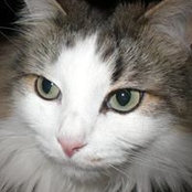 Elizabeth Holman's photo
