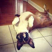 Robert Commerford's photo