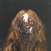 Holland Stevens's photo