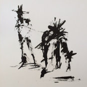 Chris Coleman's photo