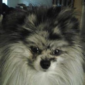 Foto von Glenda Morris