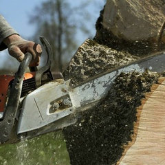 Tree Maintenance LLC