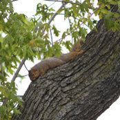Ken Martin's photo