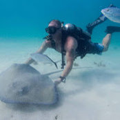 mike ranalli's photo