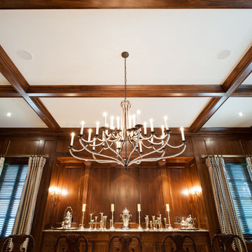 Ceilings by Carbine & Associates