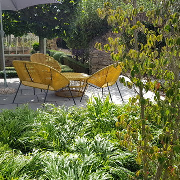Contemporary Garden