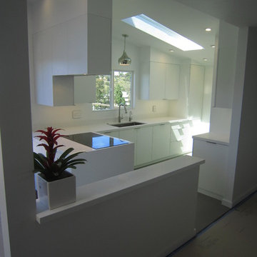 Kitchen Midcentury Modern