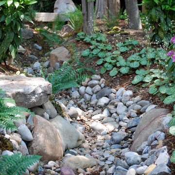 Asian Inspired Woodland Garden