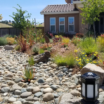 Lush Faux Creek Bed - Front Yard