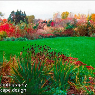 Fall Color Front Yard. Minnesota Landscape Design.