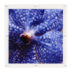ORCHID WALL ART &ndash; PETALS - NEW - Wall Decor