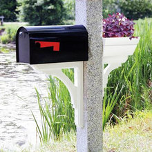 Mailbox Flowers