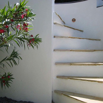 Mediterranean Garden