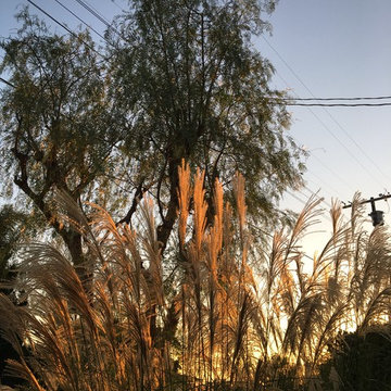 Eagle Rock in the hills (AFTER)