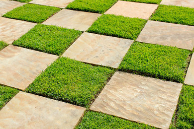 Design ideas for a modern landscaping in Other.