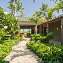 Tropical Life