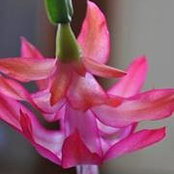 Katie Bee's photo