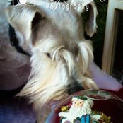 Debbie Dulaney's photo