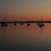 Rachel Coburn's photo