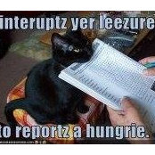 Foto von Susan Cockayne