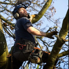 Specialised Tree Services