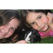 Heather Brown's photo