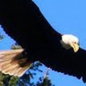 Lee Polster's photo