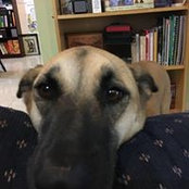 Sue Cgrave's photo