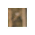 Aikey's Home Improvements, LLC's profile photo