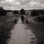 Rob Lowery's photo