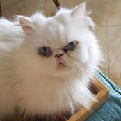 Susan Graff's photo