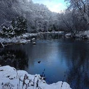 Sandy Bucknavich-Biesiada's photo