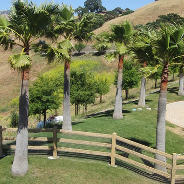 Danville Residence #2