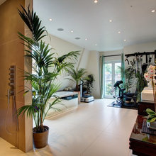 Plants for Indian Homes