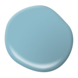 Blue Echo S460-3 - Paint