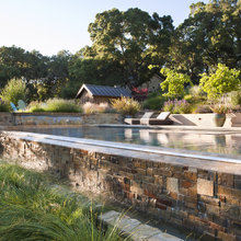 Landscape / Pool