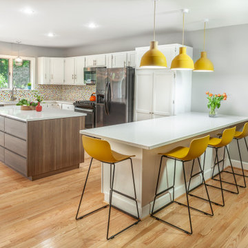 Saline Midcentury Open Floor Plan Home
