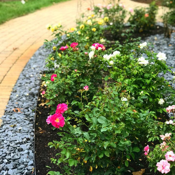 Formal Rose Garden- the after