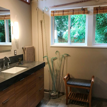 Ann Arbor Master Bath Addition: Water Hill