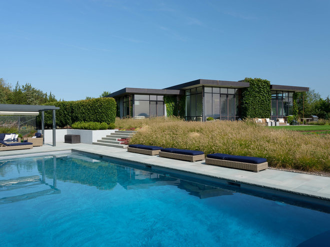 Midcentury  by Wagner Hodgson