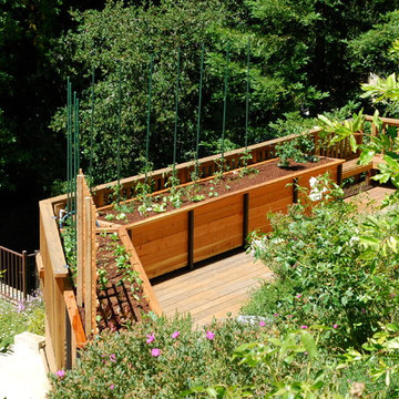 JD Garden, Hillsborough